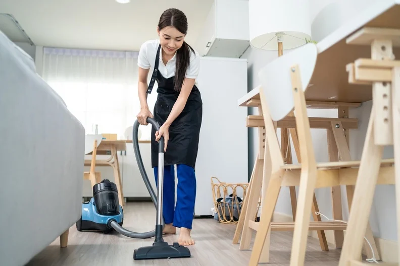 Professional Home Cleaning Services